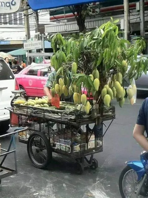 11 Gerobak Makanan dengan Konsep Paling Kocak. Cuma yang Jiwa Seniman yang Kepikiran Bikin Gini 21