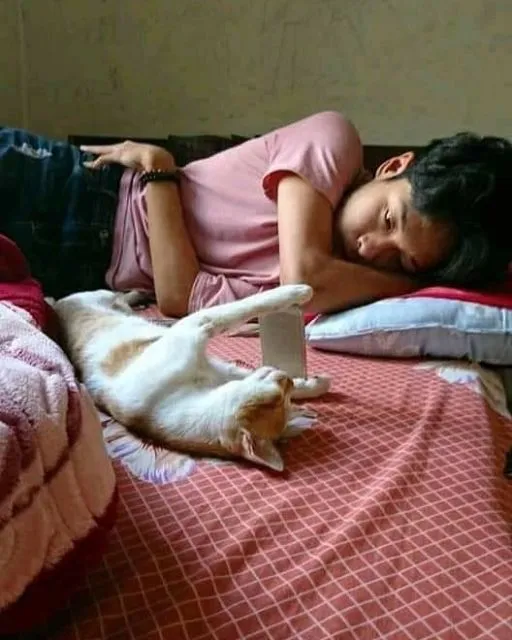 11 Potret Kegiatan Random Kucing Sehari-hari di Peradaban Manusia. Kelakuan Gini Banget, Cing :( 18