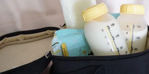 Nggak Bisa Asal, Ini 5 Hal Panduan Sebelum Membeli Cooler Bag ASI 6
