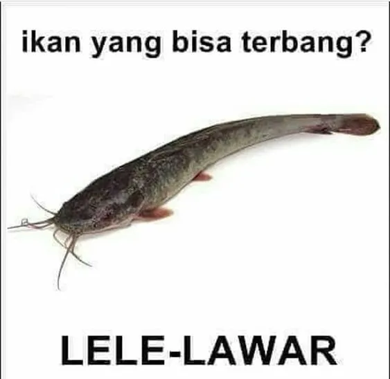 Kumpulan Tebak-Tebakan Receh buat Bahan Obrolan. Daripada Nggak Ada Topik~ 15