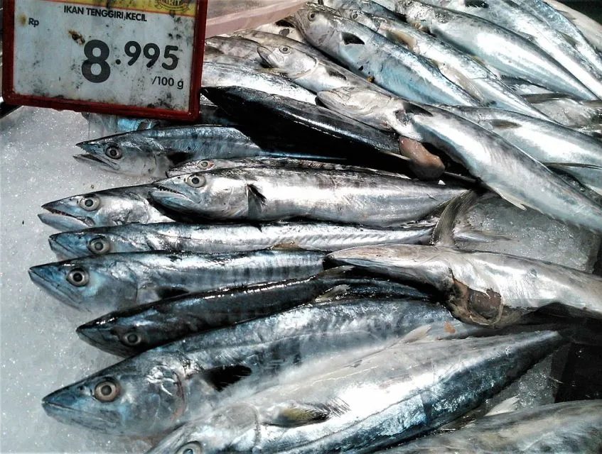 Tips Memilih Ikan Segar Sesuai Jenisnya. Jangan Asal, Bisa Keracunan! 12