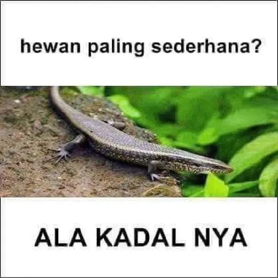 Kumpulan Tebak-Tebakan Receh buat Bahan Obrolan. Daripada Nggak Ada Topik~ 11