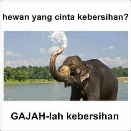 Kumpulan Tebak-Tebakan Receh buat Bahan Obrolan. Daripada Nggak Ada Topik~ 12
