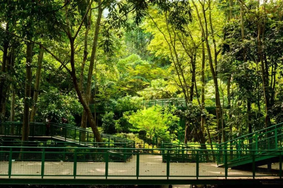 Siapa Bilang Wisata di Dalam Kota Tidak Seru? Banyak Kok yang Bisa Kita Jelajahi 5