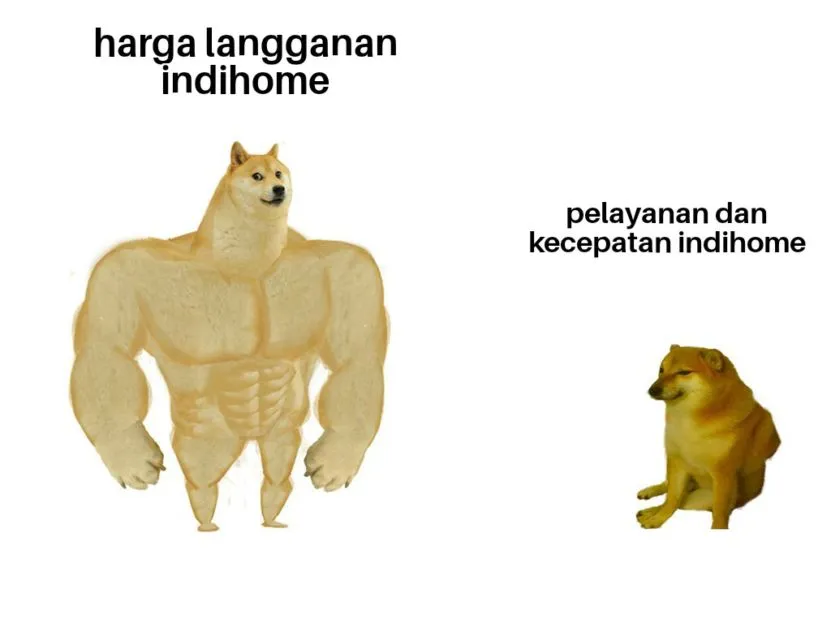 Meme Terbaik Merespon Internet Apocalypse di Indonesia. Semoga Nggak Keseringan Begini~ 21