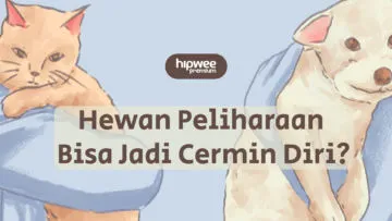 Menilik Kepribadian Pemilik Kucing, Anjing, dan Ikan. Cari Tahu Yuk Bedanya!
