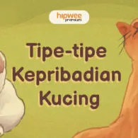 5 Tipe Kepribadian Kucing Sesuai Perilakunya. Perlu Kamu Tahu Biar Si Anabul Bahagia