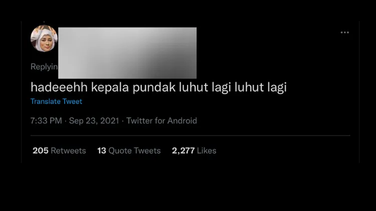 Luhut Pengin PeduliLindungi Jadi Alat Pembayaran Digital, Warganet: Nggak Sekalian Jadi Medsos? 14