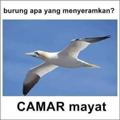 Kumpulan Tebak-Tebakan Receh buat Bahan Obrolan. Daripada Nggak Ada Topik~ 18