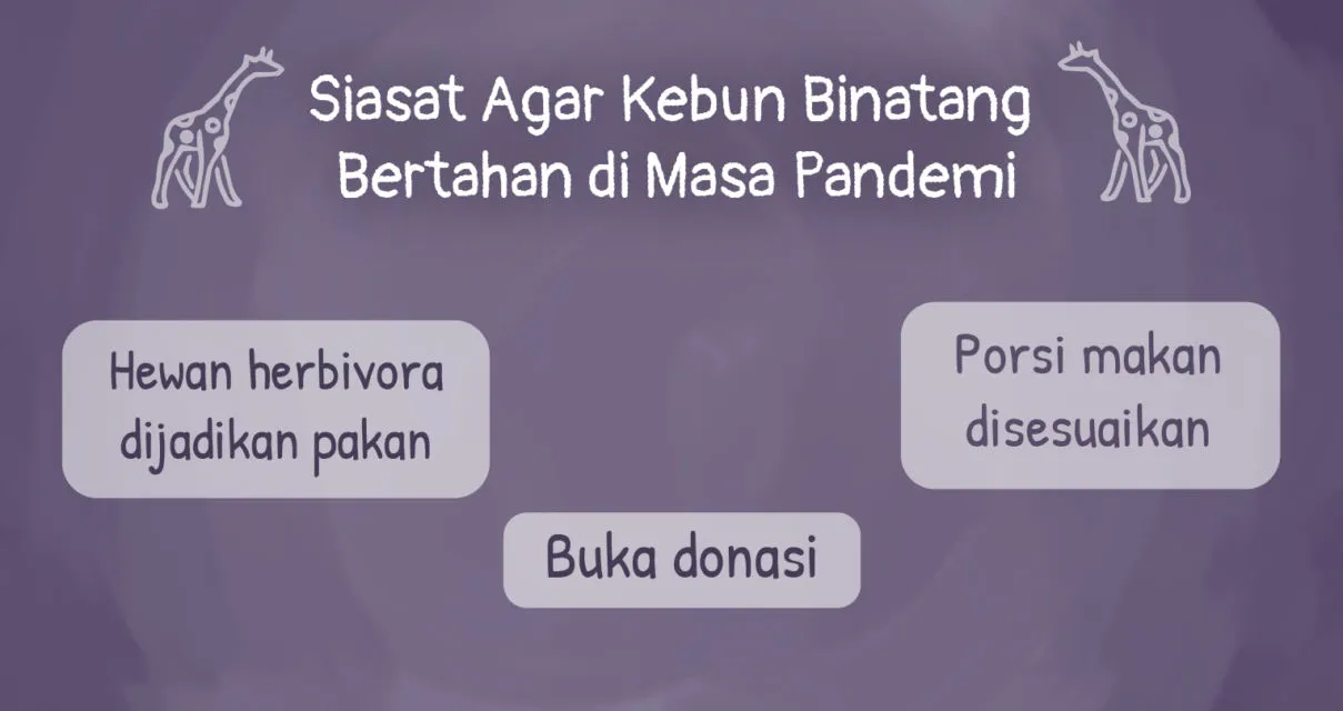 Nasib Kebun Binatang di Masa Pandemi. Kelaparan, Beberapa Hewan Harus Dikorbankan 8