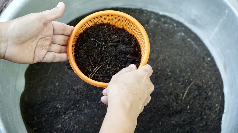 7 Cara Menanam Sayuran Organik di Rumah. Bebas Kimia, Tinggal Panen Aja 12