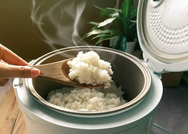 6 Penyebab Nasi Kering di Rice Cooker, Padahal Kasih Airnya Udah Banyak 10 Penyebab nasi kering di rice cooker