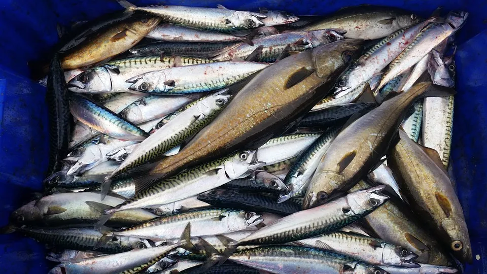 Tips Memilih Ikan Segar Sesuai Jenisnya. Jangan Asal, Bisa Keracunan! 7