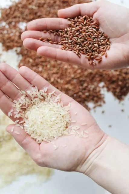 5 Perbedaan Beras Merah dan Beras Putih pada Kandungan dan Manfaatnya 8 Perbedaan beras merah dan beras putih untuk diet