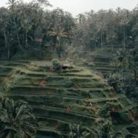 Nggak Selalu Mahal, Ini 6 Wisata Murah di Ubud yang Bisa Jadi Pilihan Liburan Nanti