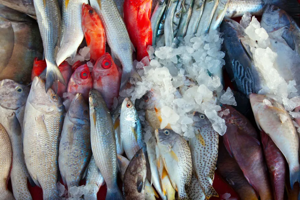 7 Cara Menghilangkan Bau Amis pada Ikan dengan Bahan Sederhana di Dapur 9