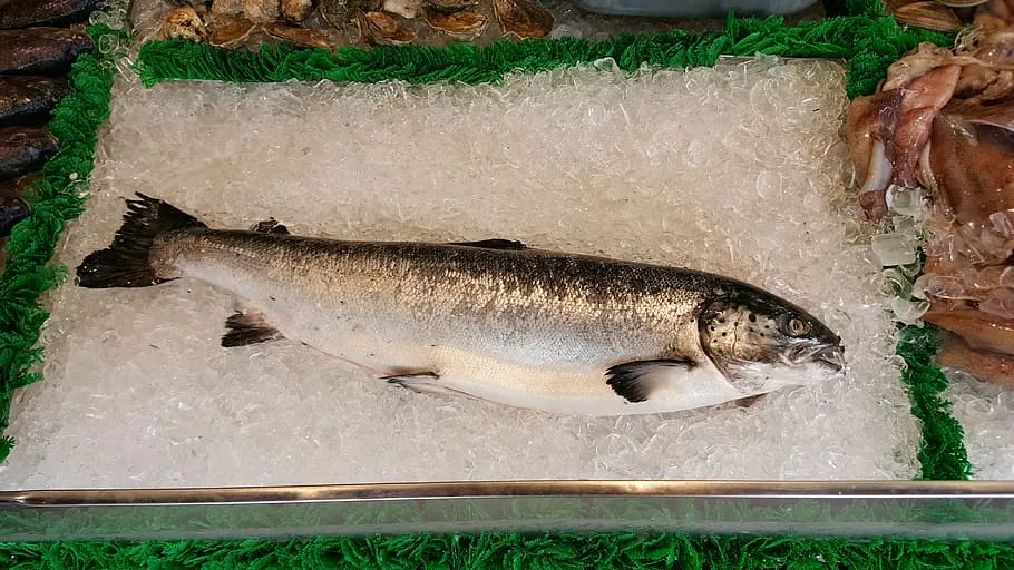 Tips Memilih Ikan Segar Sesuai Jenisnya. Jangan Asal, Bisa Keracunan! 8