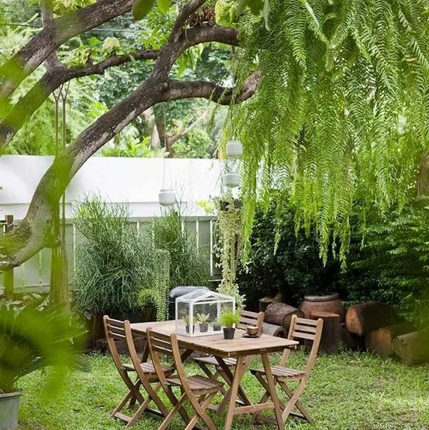 11 Inspirasi Desain Taman Belakang Rumah Minimalis 16