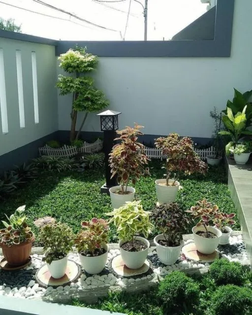 11 Inspirasi Desain Taman Belakang Rumah Minimalis 19