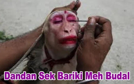 8 Perbedaan Arti Kata Bahasa Jawa vs Bahasa Sunda ini Bikin Obrolan Jadi Nggak Nyambung! 14