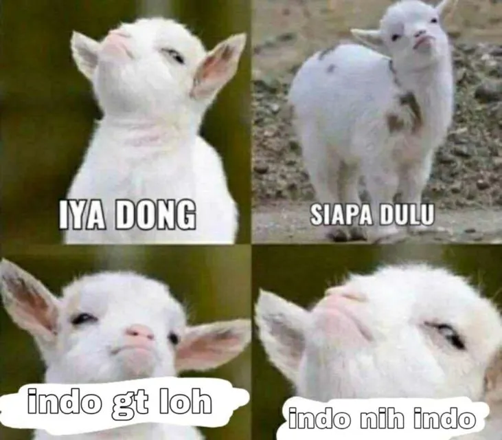 Kumpulan Meme Absurd yang Ramaikan Perayaan Kemenangan Indonesia di Piala Thomas 2021. Ada-ada Aja~ 17