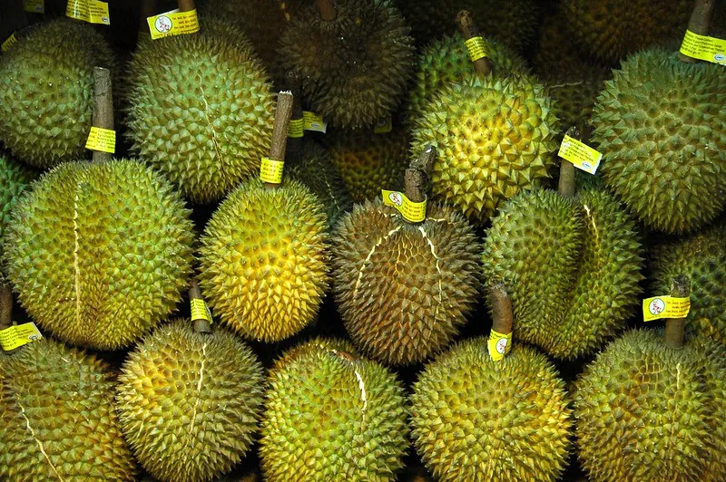 Daftar Jenis Durian Unggul yang Enak & Paling Favorit 13