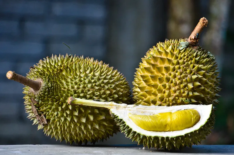 Daftar Jenis Durian Unggul yang Enak & Paling Favorit 10