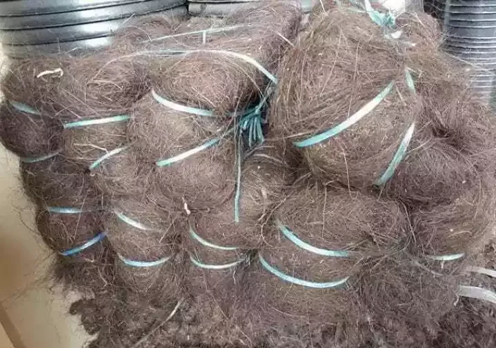 5+ Cara Mudah Menghilangkan Bau Air Sumur 7