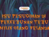 Misteri Perkebunan Tebu Milik Orang Belanda. Diliputi Isu Pesugihan, Warga Alami Banyak Kejadian~