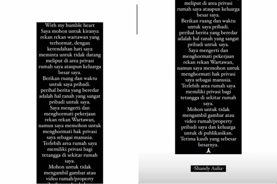 Buka Suara Setelah Kabar Perceraiannya Jadi Perbincangan, Shandy Aulia Minta Privasinya Tak Diusik 2