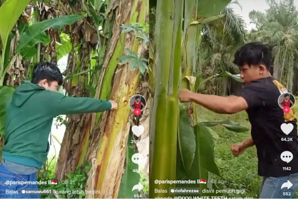Menilik Ucapan