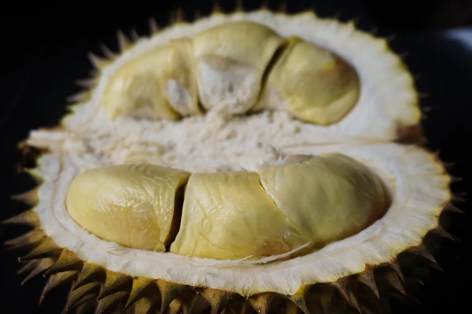 Daftar Jenis Durian Unggul yang Enak & Paling Favorit 14