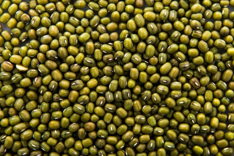 7 Manfaat Air Rebusan Kacang Hijau Buat Kesehatan 5 Manfaat air rebusan kacang hijau