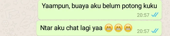 Jika Chatmu Berakhir dengan Hal-Hal Seperti ini, Tandanya Kamu Disuruh Berhenti. Nggak Perlu Lanjut! 20