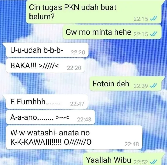 14 Chat Ngenes Proses PDKT yang Ujungnya 'Bukan Kamu Orangnya'. Jangan Sampai Begini :( 22