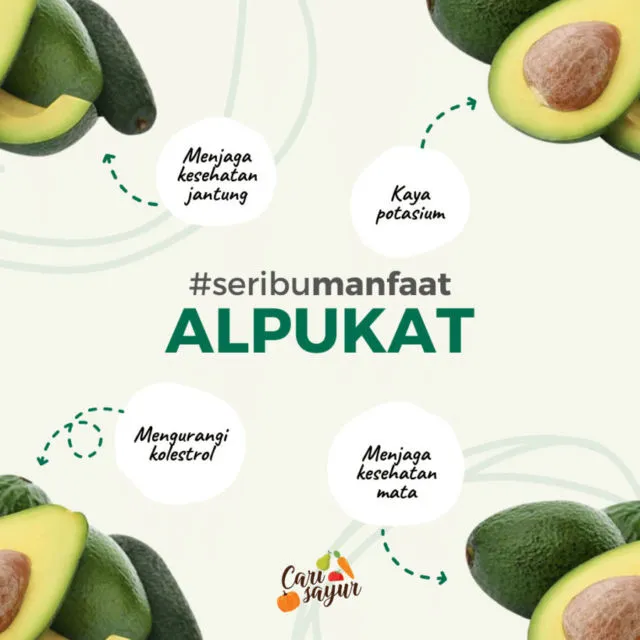 Belanja Bahan Pangan Berkualitas dari Rumah Bisa Pakai Banyak Promo di Carisayur 8