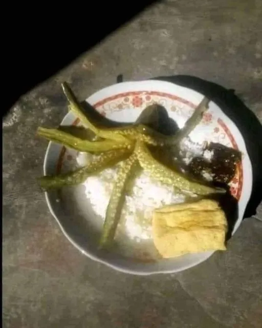 10 Foto Kreatifitas Plating Makanan Low Budget, Tetap Gengsi Meski Duit Lagi Tipis~ 18