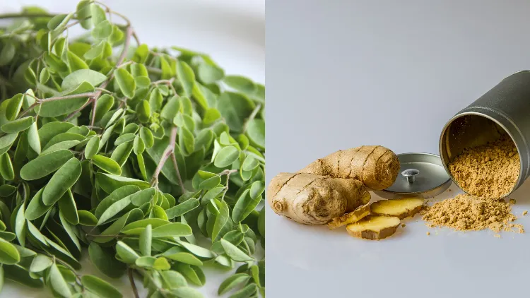 5 Cara Mengolah Daun Kelor yang Kaya Manfaat 7
