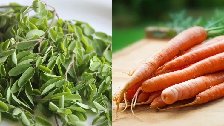 5 Cara Mengolah Daun Kelor yang Kaya Manfaat 8