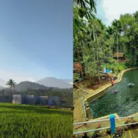 Desa Wisata Tamansari Banyuwangi: Potensi Keindahan Alam & Budaya
