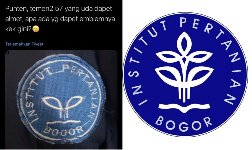 10 Kesalahan Desain Gambar Produk yang Bikin Ngakak, Desainer Mungkin Kurang Fokus 11