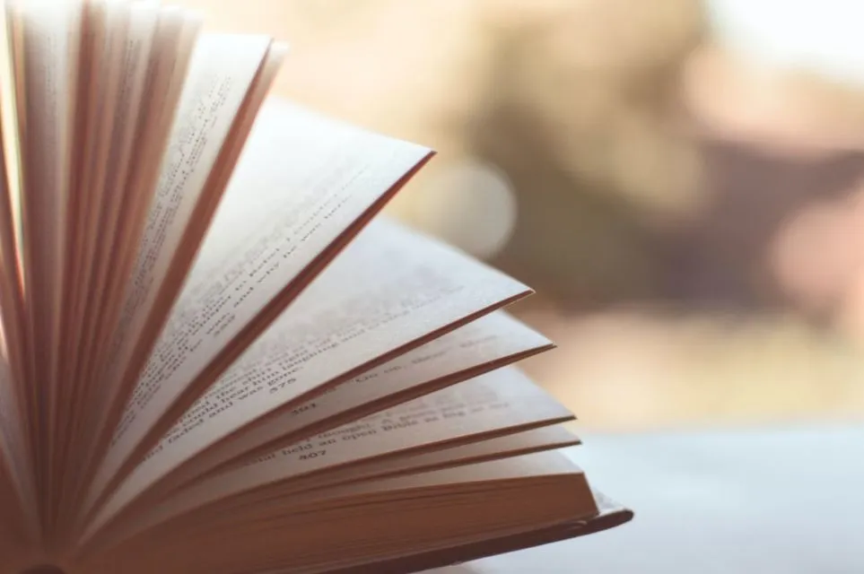 7 Contoh Resensi Novel dan Panduan Membuatnya. Beda dengan Sinopsis! 12
