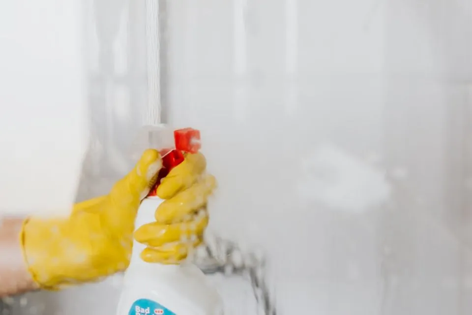 6 Cara Menghilangkan Cacing di Kamar Mandi 8