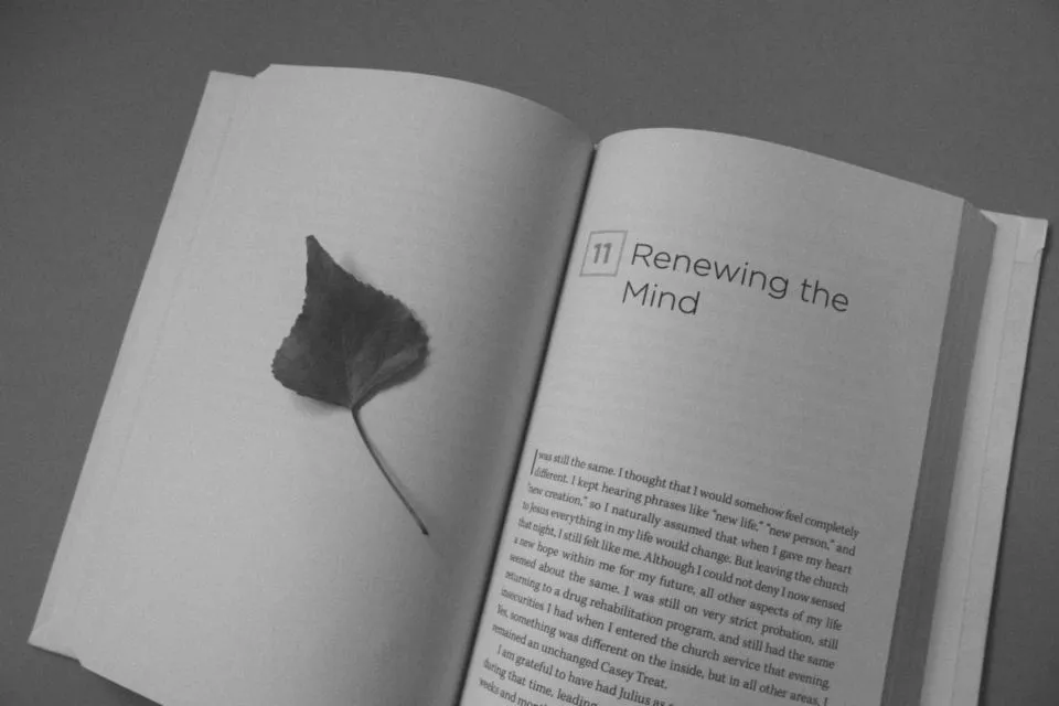 7 Contoh Resensi Novel dan Panduan Membuatnya. Beda dengan Sinopsis! 10