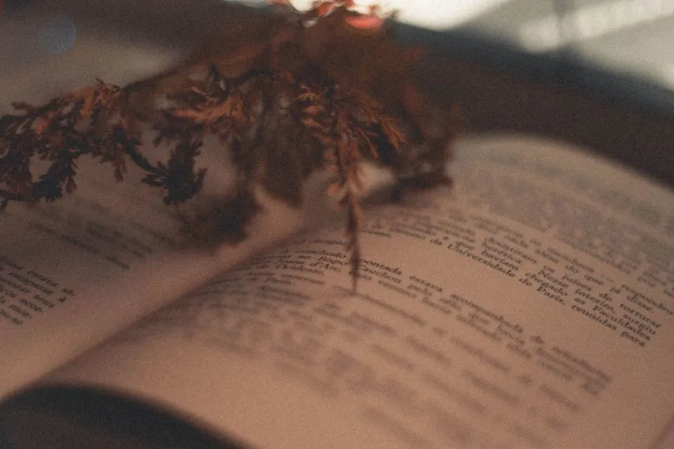 7 Contoh Resensi Novel dan Panduan Membuatnya. Beda dengan Sinopsis! 13