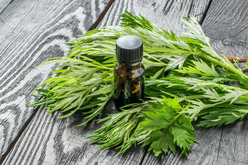 4 Kandungan Skincare Paling Populer di Tahun 2021 8