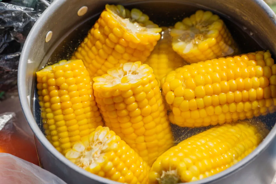 6 Cara Merebus Jagung Manis biar Empuk 12 Cara merebus jagung