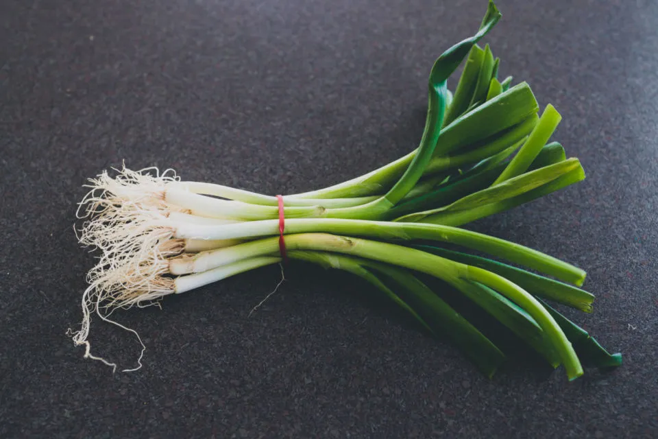 6 Cara Menyimpan Daun Bawang Agar Awet 8 Cara menyimpan daun bawang