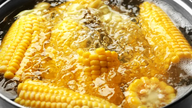 6 Cara Merebus Jagung Manis biar Empuk 8 Cara merebus jagung