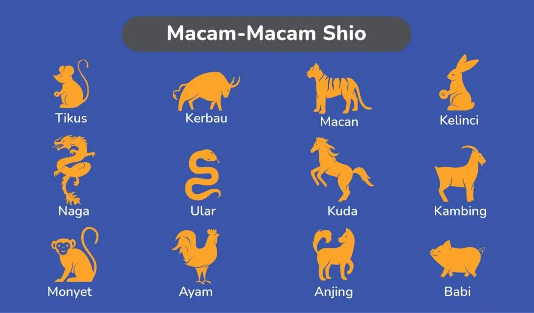 Lihai Berkomunikasi dengan Mengetahui Sifat Orang Sesuai Shio. Intip yuk Bocorannya! 6